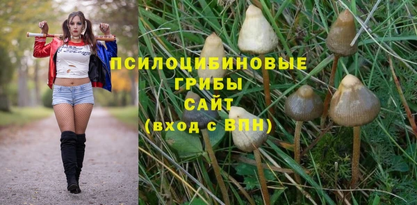 спиды Бронницы