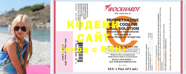 дживик Бородино