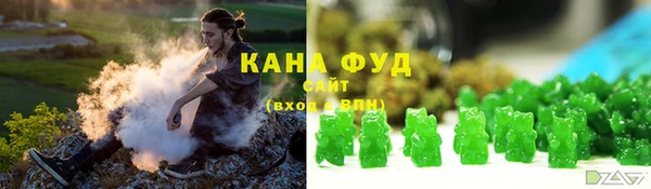 дживик Бородино
