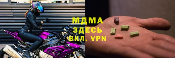 дживик Бородино