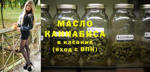 дживик Бородино