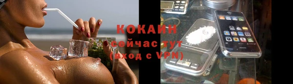 дживик Бородино