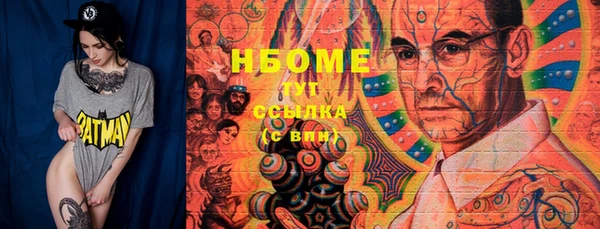 дживик Бородино