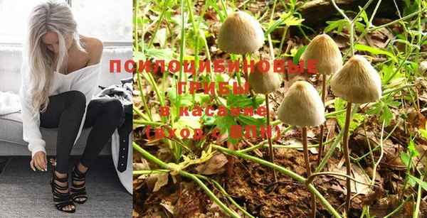 дживик Бородино