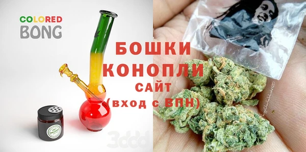 дживик Бородино