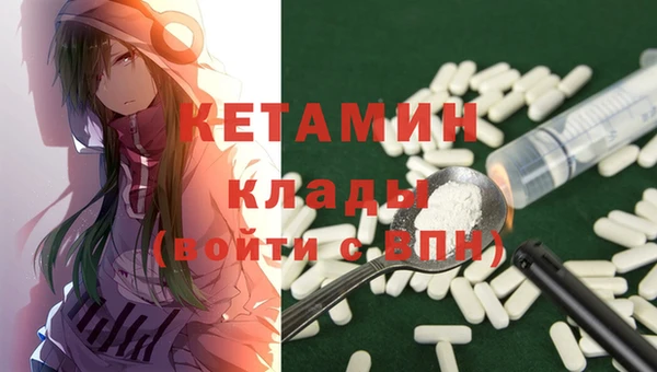 дживик Бородино