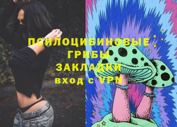 сатива Бугульма