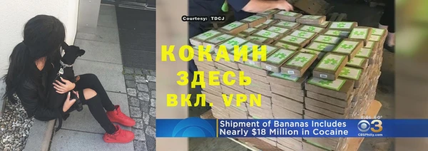 сатива Бугульма