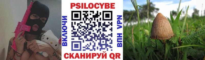 купить наркотик  кракен вход  Галлюциногенные грибы мицелий  Гулькевичи 