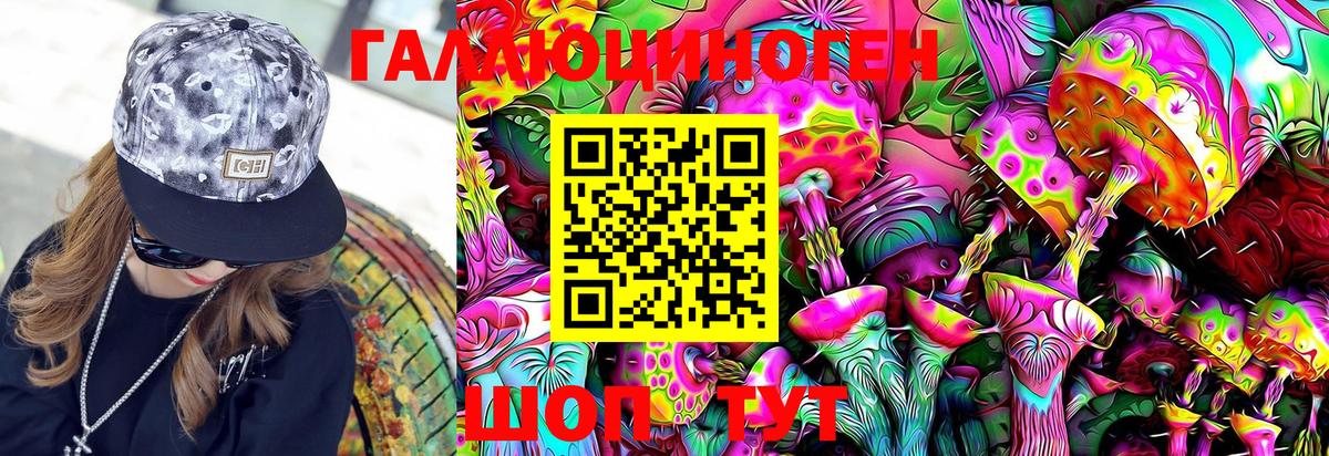 Псилоцибиновые грибы Psilocybe Гулькевичи