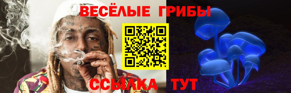 купить наркотик  Вход с VPN  Гулькевичи  Псилоцибиновые грибы прущие грибы 